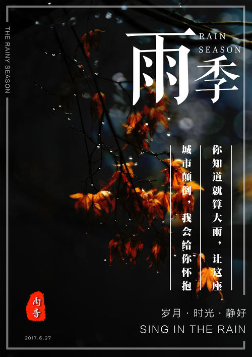 香港驾照内地能开车吗